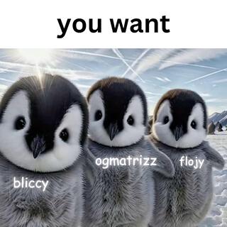 you want ft. Bliccy lyrics | Boomplay Music