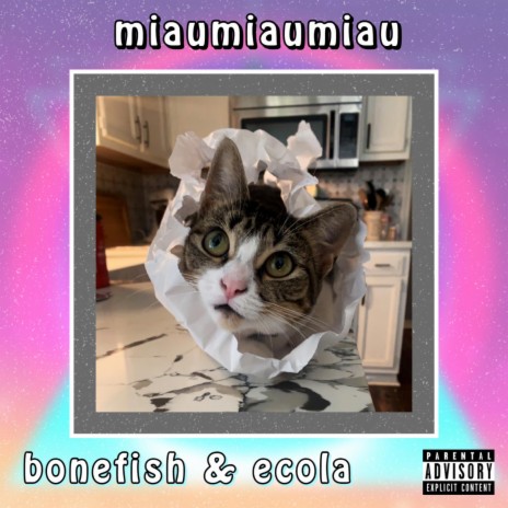 miaumiaumiau V ft. ecola | Boomplay Music