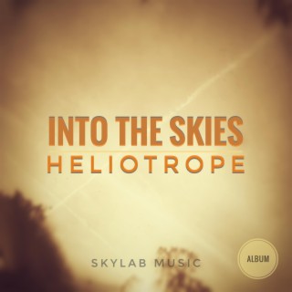 Into The Skies