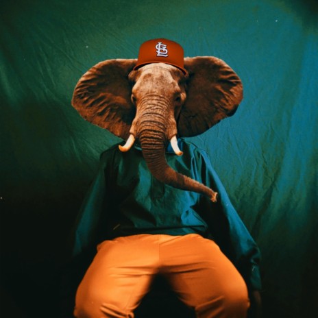 ELEPHANT IN THE ROOM ft. $TORM2x