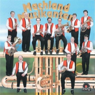 Machland Musikanten