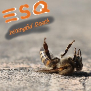 Wrongful Death