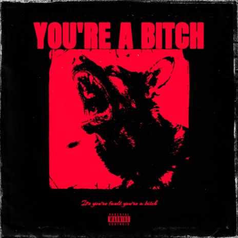You're A Bitch | Boomplay Music