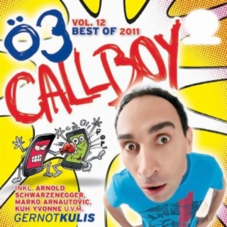 Ö3 Callboy VOL. 12: Best of 2011