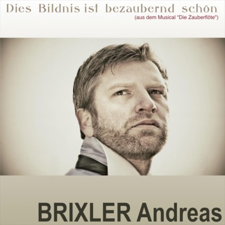 Dies Bildnis ist bezaubernd schön | Boomplay Music