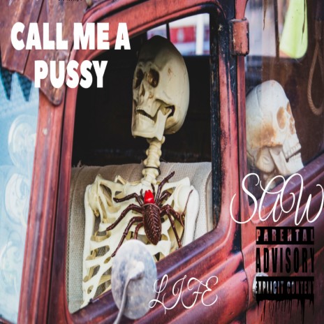 Call Me A Pussy | Boomplay Music