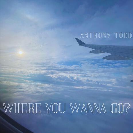 Where You Wanna Go? | Boomplay Music