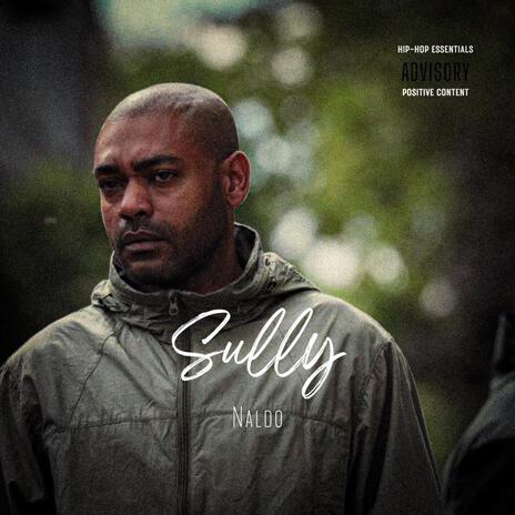 Sully | Boomplay Music