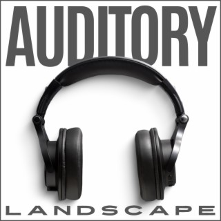 Auditory Landscape