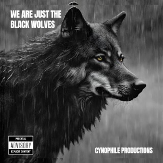 We Are Just the Black Wolves
