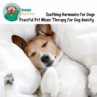 Soothing Harmonies for Dogs: Peaceful Pet Music Therapy for Dog Anxiety