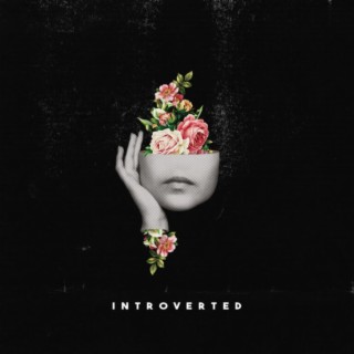Introvert (Guitar Instrumental)