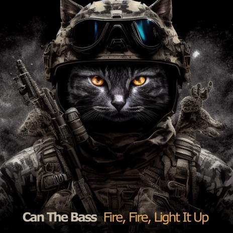 Fire Fire Light It Up | Boomplay Music