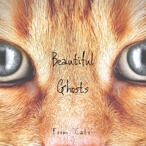 Beautiful Ghosts (From Cats) | Boomplay Music