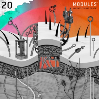 Modules 20