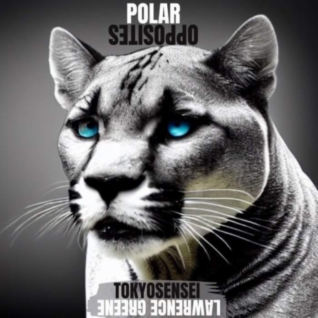Polar Opposites ft. TokyoSensei | Boomplay Music