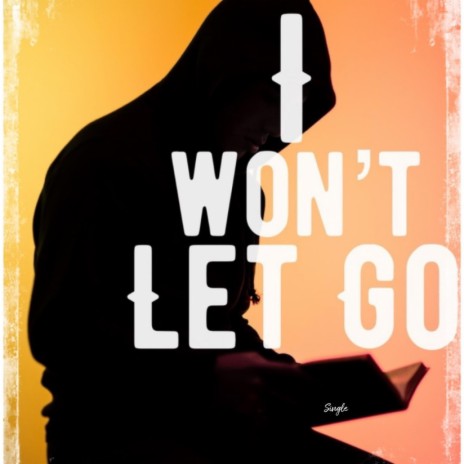 I Won't Let Go | Boomplay Music