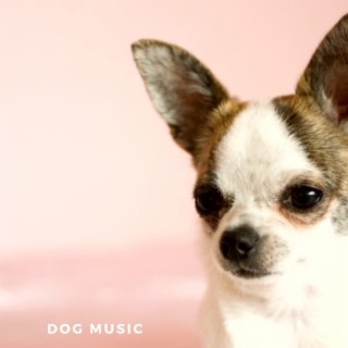 Comfort Music For Dogs