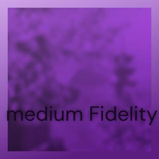 medium Fidelity