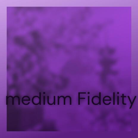 medium Fidelity | Boomplay Music