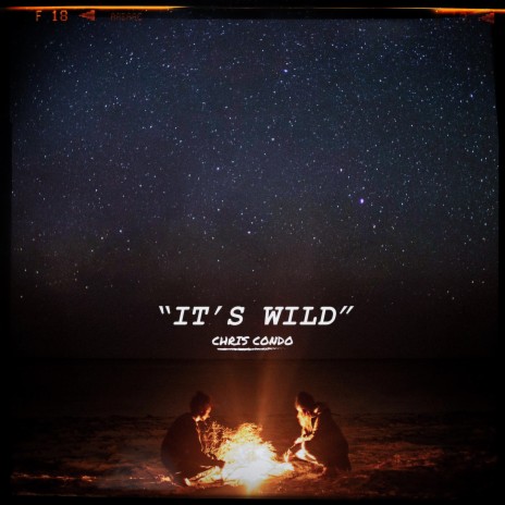 It's Wild | Boomplay Music
