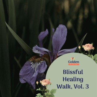 Blissful Healing Walk, Vol. 3