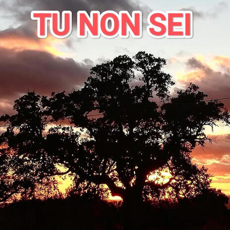 Tu non sei | Boomplay Music