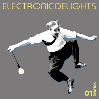 Electronic Delights, Vol. 1