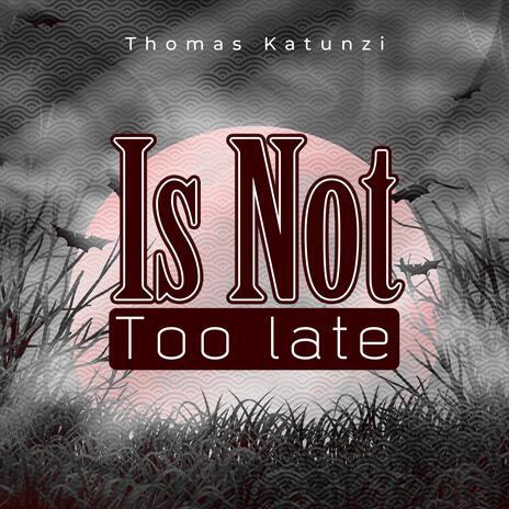 Is not too late | Boomplay Music