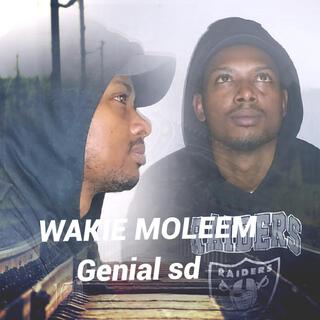 Wakei moleem