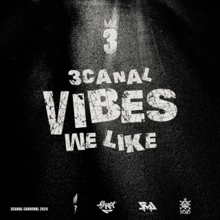 Vibes We Like lyrics | Boomplay Music