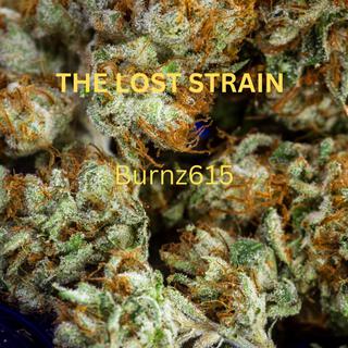 The Lost Strain