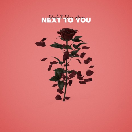 Next To You ft. Dane Amar | Boomplay Music