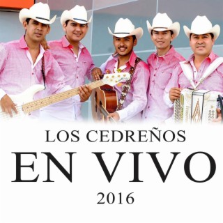 En Vivo 2016 (En vivo)