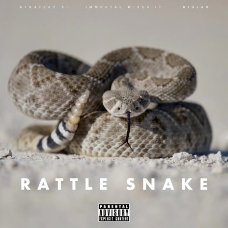 Rattle Snake ft. Didjah & Immortal Mixed.It | Boomplay Music