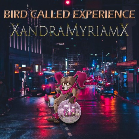 Bird Called Experience | Boomplay Music