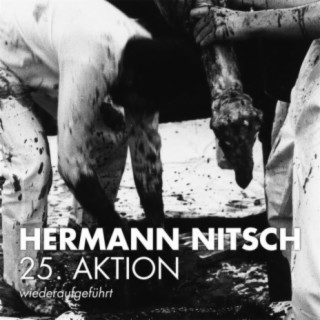 Hermann Nitsch