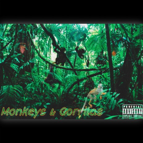 Monkeys & Gorrilas ft. I.D.K OF DK | Boomplay Music
