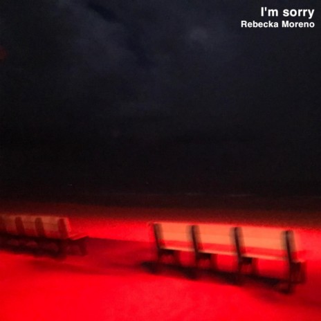 I'm Sorry | Boomplay Music