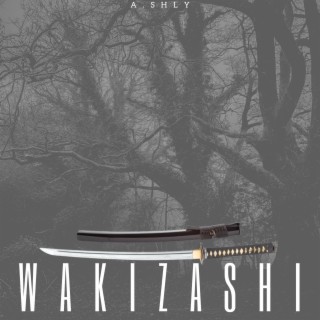 Wakizashi