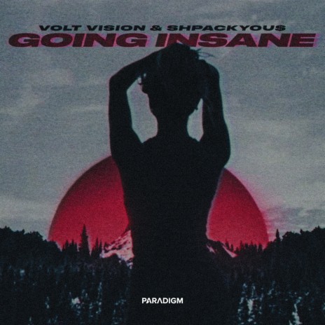 Going Insane ft. SHPACKYOU$ | Boomplay Music