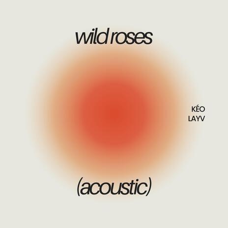 Wild Roses (Acoustic Version) ft. Layv | Boomplay Music