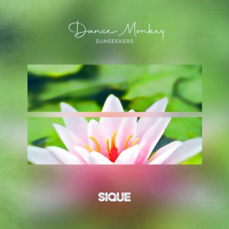 Dance Monkey ft. SIQUE | Boomplay Music