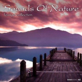 Sounds of Nature Lounge Collection