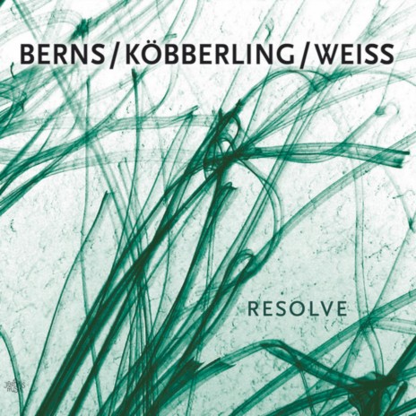 In Particular ft. Köbberling & Weiss | Boomplay Music