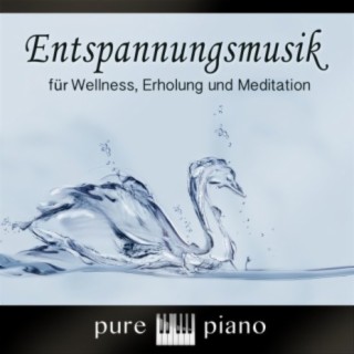 Entspannungsmusik für Wellness, Erholung und Meditation