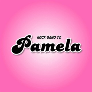 PAMELA