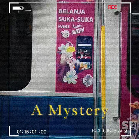 A Mystery ft. Magdalena Radanty | Boomplay Music