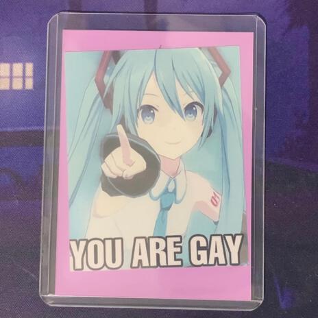 You Are Gay ft. Hatsune Miku | Boomplay Music