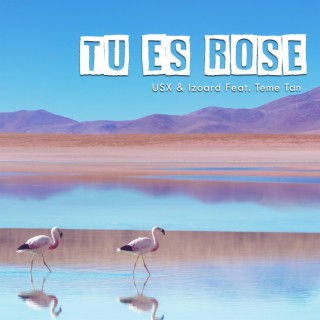 Tu Es Rose